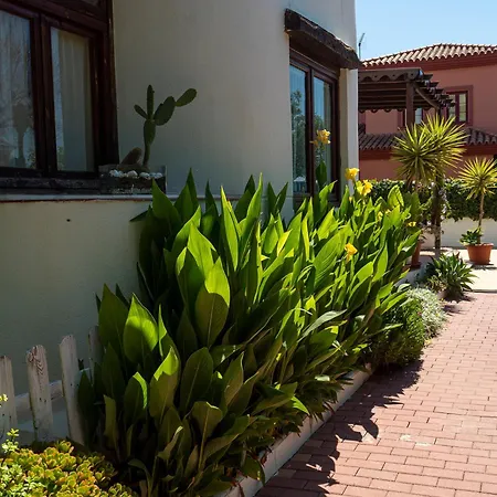 Ibicenca * Benalmadena